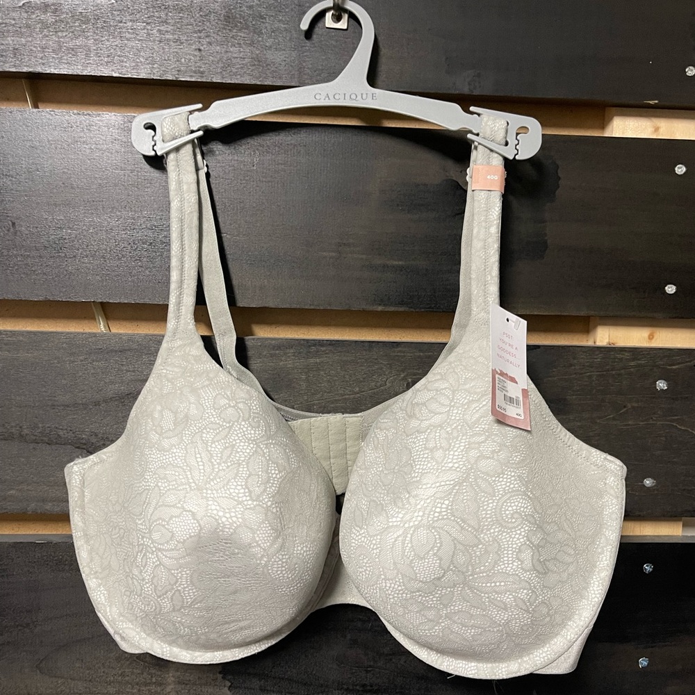 40G - NWT - Lightly lined T-shirt bra - gray lace over white.